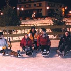 luge de hockey 