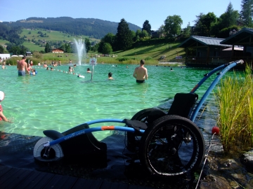 Hippocampe au lac de Combloux