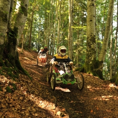 Fauteuil Tout Terrain en forêt